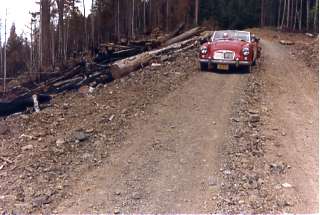 Log road in Oregon